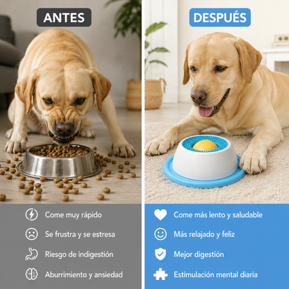 Comedero anti-estrés